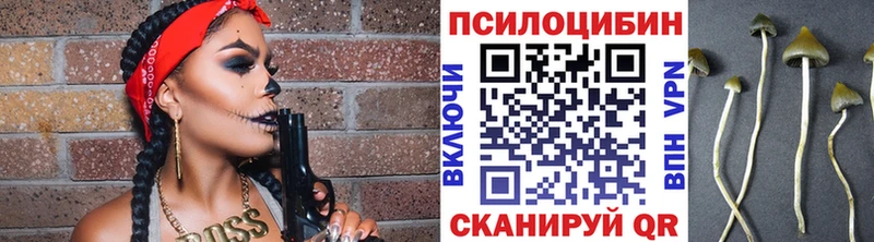 Галлюциногенные грибы прущие грибы  Купить где  Дзержинск 