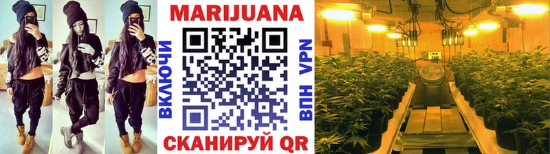 Шишки марихуана Ganja  Купить закладки  Дзержинск 